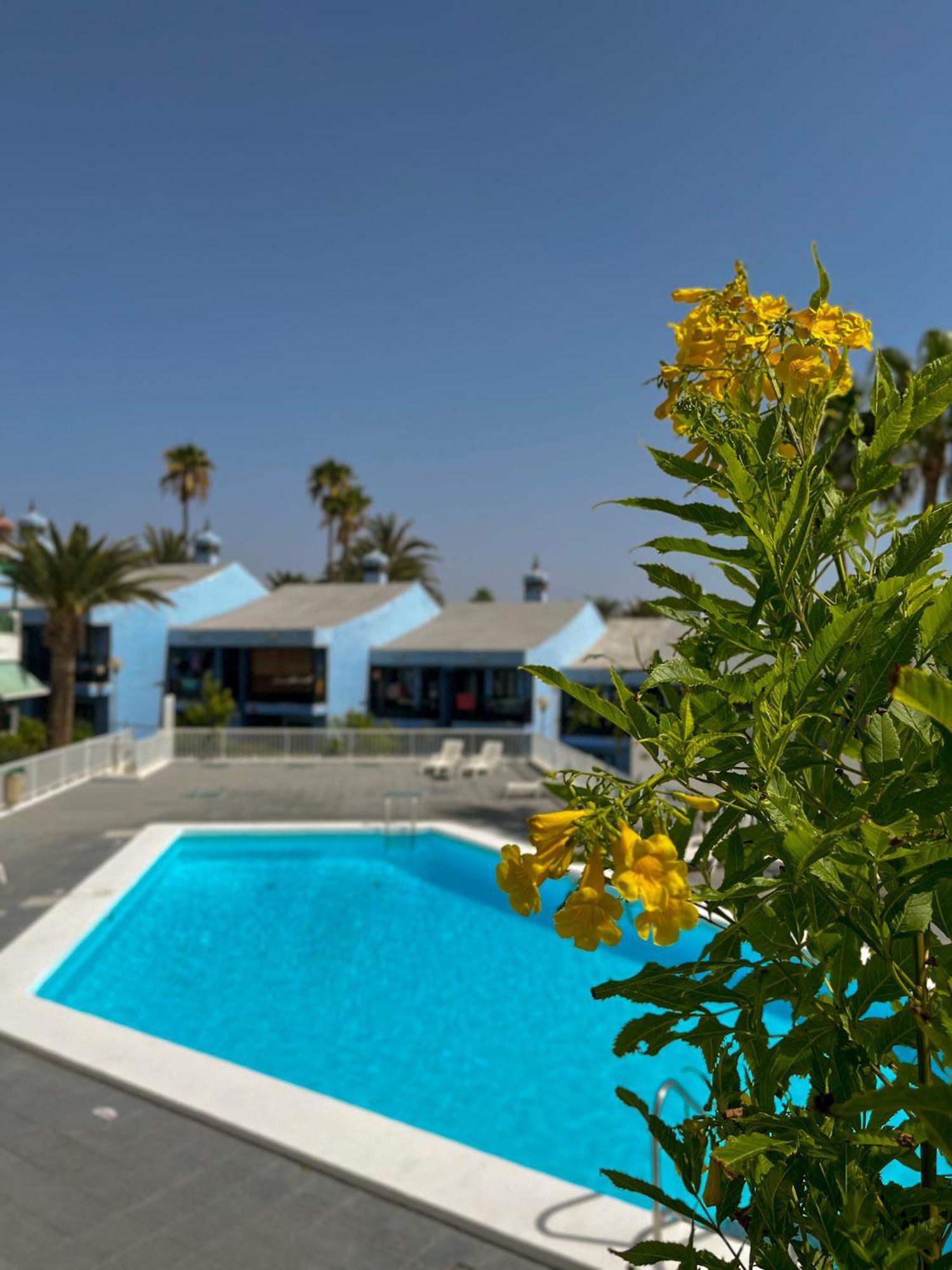Beautiful Apartment Aguycan Beach 120 Playa Del Aguila Maspalomas Gran Canaria Maspalomas (Gran Canaria) Exterior foto